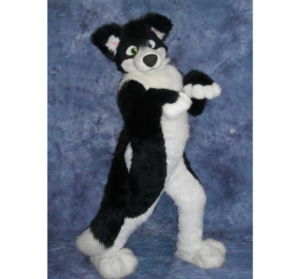 Border Collie Husky Dog GREY DOG Mascot Costume Fancy dress Complete G5 Adult Outfit All - UKp