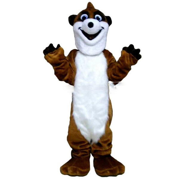 Raccoon Mascot cartoon, factory physical photos, quality guaranteed, welcome buyers to the evaluation and cargo photos