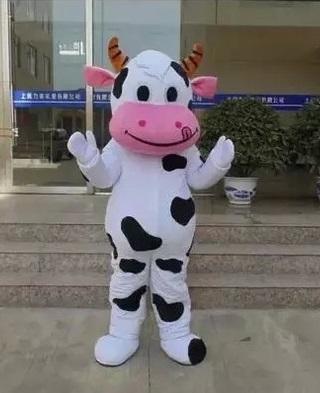 Hot New Zealand cow mascot clothing cattle cartoon character clothing adult size