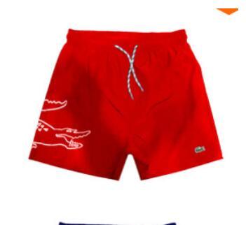 HOT new horse lqpolos brand Men's brand Shorts Summer polo Beach Surf Swim Sport Swimwear Boardshorts gym Bermuda basketball shorts