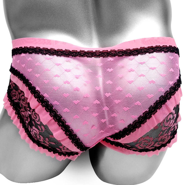 Dot Mesh See Through Softy Gay Sissy Panties Sexy Lingerie Underwear Low rise Breathable Men Underpants Sissy PANTIES