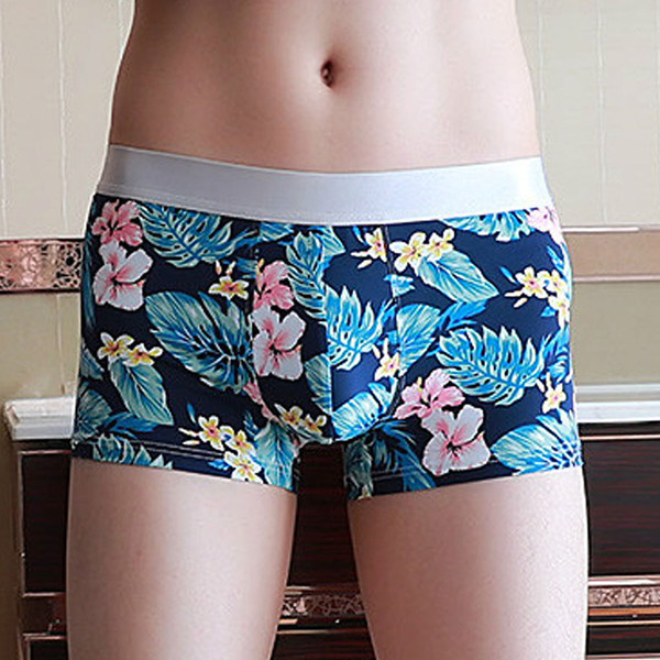 Men Panties Breathable Boxers Nylon silk Sexy Men Underwear With U convex pouch Gay Underpants Printed boxer shorts Trunks