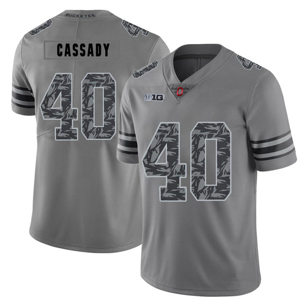 Howard Cassady Stitched Men's Ohio State Buckeyes J.T. Barrett J.K Dobbins Customized White Gray College Jersey