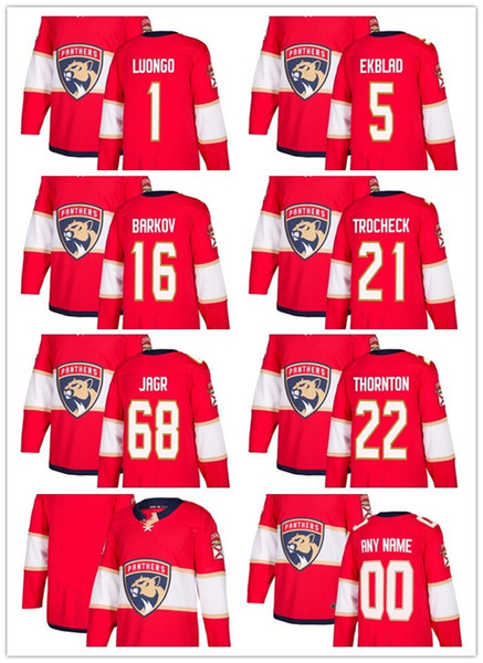 Men ICE Hockey Jerseys Panthers BLANK red white color any name any number size s-3xl women man kids youth