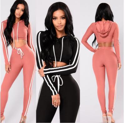 Wholesale Autumn And Winter pink women tracksuit Sexy Exercise 2 piece woman set Ladies New Style pink women sweat suits