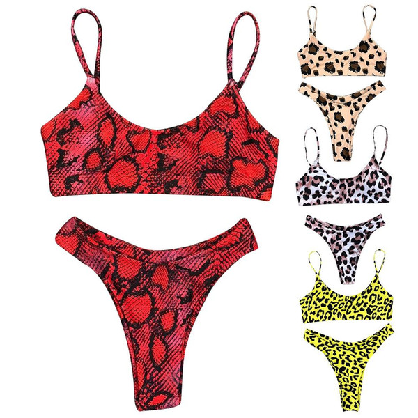 Women Sexy Swimming Suit Sexy Leopard Print Bikinis for Vacations Swimming Suit Bathing Two Piece Sets