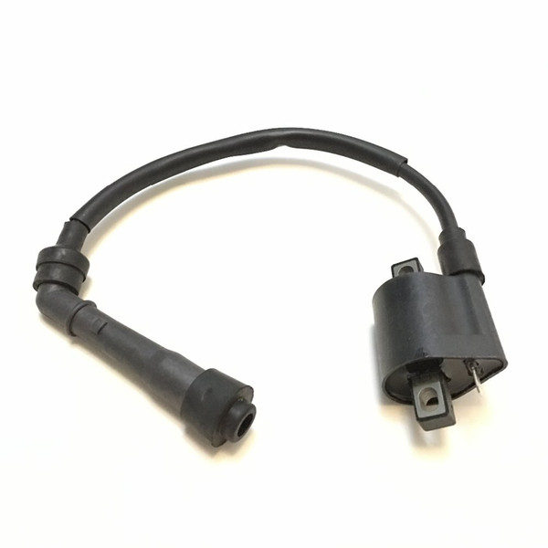 Wholesale- JS400ATV IGNITION COIL FOR JIANSHE JS 400 MOUNTAIN LION 400CC ATV YAMABUGGY GO KART