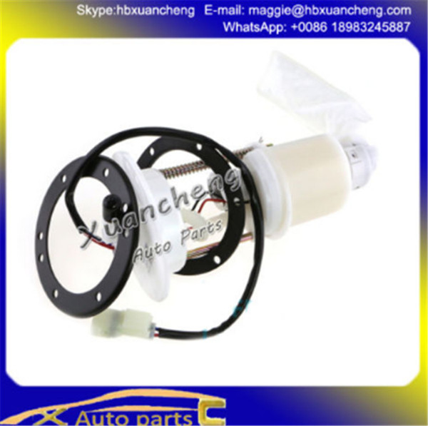 Car auto parts, CFMOTO Parts,CFMOTO 500 PART, CF500 CF625(X5 X6) FUEL PUMP ASSESMBLY 901F-150900