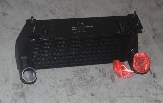 1186000088 Intercooler assembly for gleey tx4