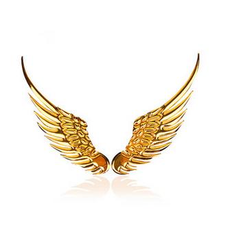 D Metal Angel Wing Decoration Badge Emblem Chrome Car Auto Sticker Decal (Silver,Golden) order<$18no track