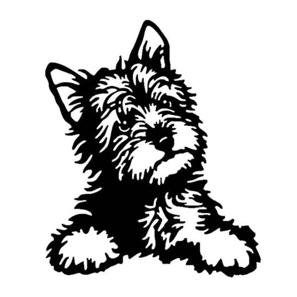 12.7*15.2 CM yorkie dog waterproof car vinyl decal CA-2002