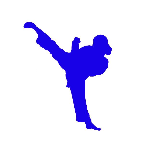 Wholesale 20pcs/lot Home Decorations Automobile and Motorcycle Vinyl Decal Car Glass window Stickers JDM Chinese Kung Fu Legend Women