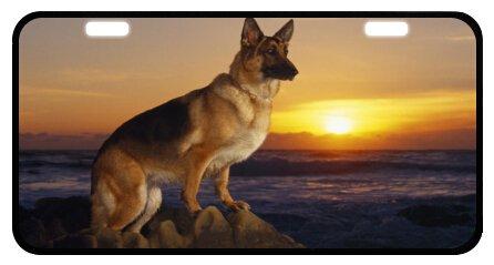 Cute German Shepherd Dog Novelty License Plate Decorative Front Plate 6.1