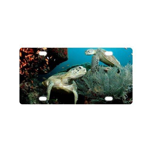 New Arrival! Two Lovely Sea Turtle Looking At Each Other Strong And Durable Aluminum Car License Plate 12