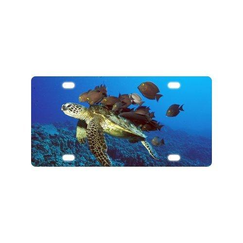 Personalized Tropical Sea Turtle And Small Fishes Strong And Durable Aluminum Car License Plate 12