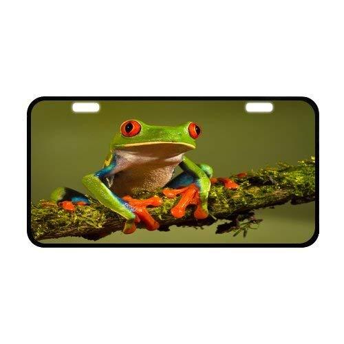 Sturdy and Beautiful License Plate Holders Personalized Tag Cute Frog Pattern for Cars Decorative Front Plate 6.1