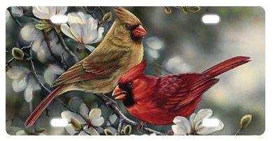 Winter Cardinal Birds Novelty License Plate Decorative Front Plate 6