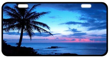 Tropical Paradise Ocean Beach Scene with Palm Trees Novelty License Plate Decorative Front Plate 6.1