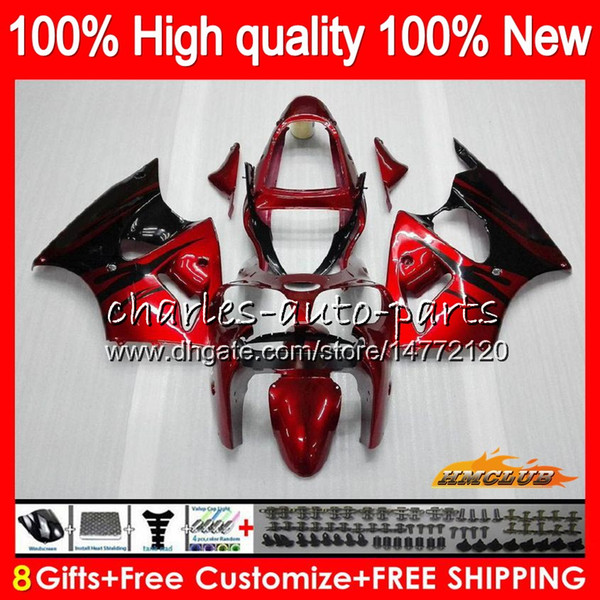 Bodys For KAWASAKI red flames ZX600 600CC ZZR600 05 06 07 08 Bodywork 38HC.10 ZX600CC ZZR-600 ZZR 600 2005 2006 2007 2008 OEM Fairing kit