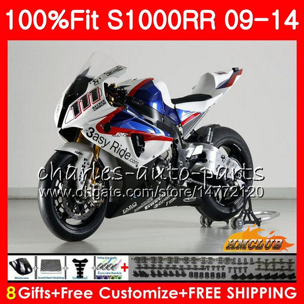 Injection For BMW S 1000 RR 2009 2010 2011 2012 2013 2014 stock white HOT 5HC.49 S 1000RR S1000 RR S1000RR 09 10 11 12 13 14 OEM Fairing kit