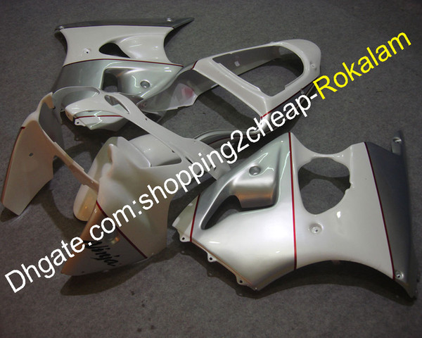 00-02 ZX 6R Moto Fairing Kit For Kawasaki ZX6R 2000 2001 2002 Silver White ABS Motorcycle Fairings (Injection molding)