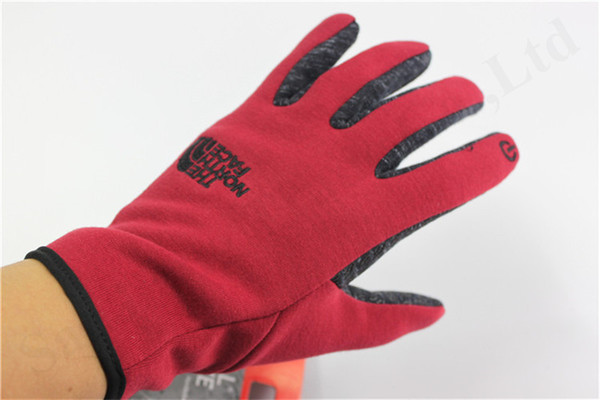 Winter Unisex Design Fleece Touch Screen Gloves Face Windproof Cycling Gloves The North Embroidery Letter Finger Glove Telefingers C101004