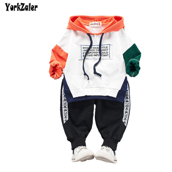 Yorkzaler Spring Autumn Children's Clothing Set Hooded Shirt+Harem Pants 2pcs Outfits For Girl Boy Casual Clothes Suit 18M-4Y SH190912