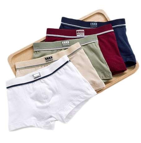Boys Underwear Children Panties Boys Cotton Boxer Shorts Children's Panties Kids Underwear For 2-16 years 5 pcs