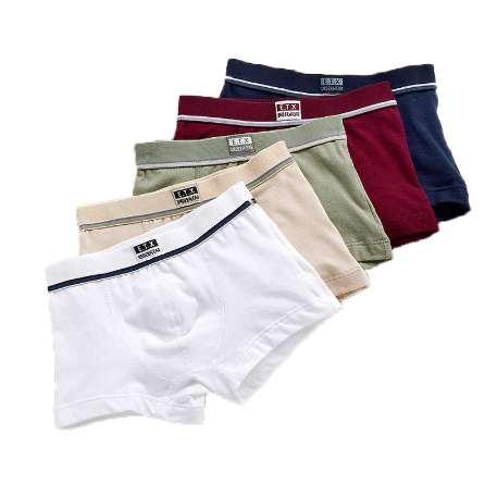 5pcs/lot Solid Color Boy Panties Cotton Children Breathable Underwears Boxer Panties For Boys Students Shorts Pants Briefs BU014