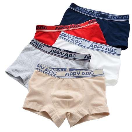 5 Pcs/lot 3-Kinds Style Soft Organic Cotton Kids Boys Underwear Children's Boxer For Boy Shorts Panties Teenage Underwear 2-16y