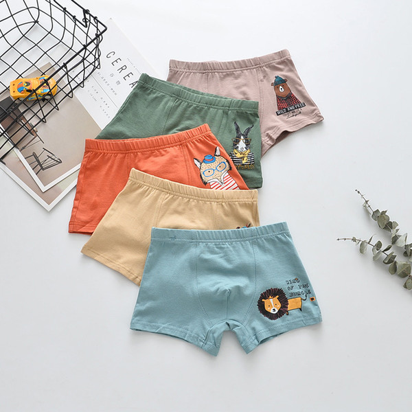 Free freight new 5 pairs of bagged boy cartoon lion boxer shorts