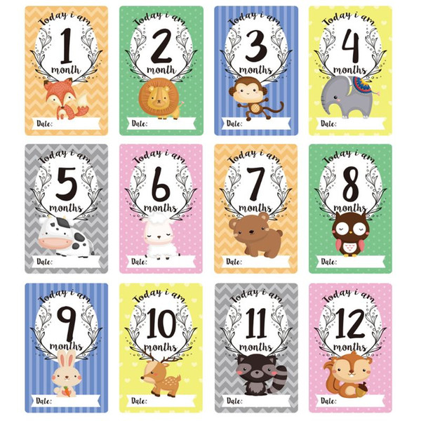 12 Sheet Milestone Photo Sharing Cards Gift Set Baby Age Cards - Baby Milestone Cards, Baby Photo Cards - Newborn