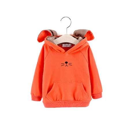 new autumn children clothing boys girls outwear kids spring hoodies full sleeve Unisex Sweatshirts