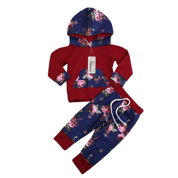 Toddler Baby Kids Girls Warm Long Sleeve Hoodies Top +Pants Winter Floral Print Baby Clothes