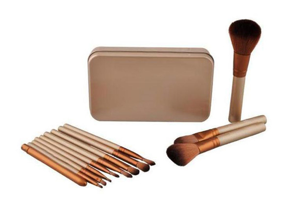 Makeup brush 12 pieces professional makeup brush set (with iron box)