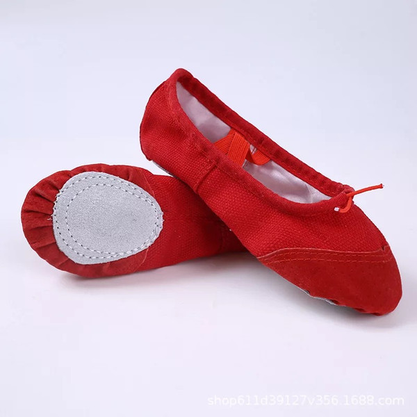 Pure Color Stretchable Ballet Slippers Dance Shoes Girls Women Ballerina Practice Ballet Shoes With Elastic Mesh