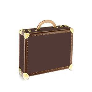 Brown Classic Flower MO. HARD SIDED SUITCASE 40cm or COTTON BAG , Customer Designate Product