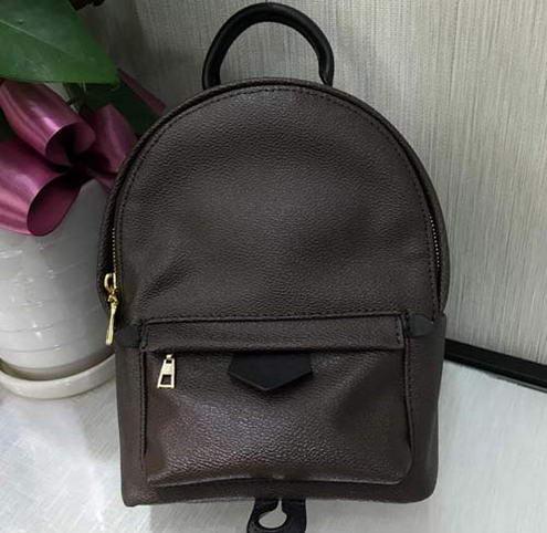 Fashion Classic Palm Spring Mini Backpack Women Brown Leather Bags Brand Designer Female Back Pack Bag Backpacks Ladies for Sale