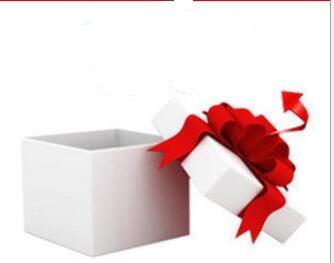Box, coin purse, gift , Gift link,Please purchase with shoes or bags