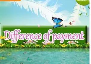 difference of payment for you