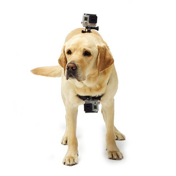 Dog strap Harness belt for Action Camera HERO 7/6/5/4/3+/3/5 4 session/xiaomi yi/sj