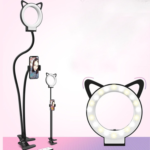 RK24 Selfie Ring Light with Cell Phone Holder Stand for Live Stream / Makeup With 3-Light Mode, 9-Level Brightness