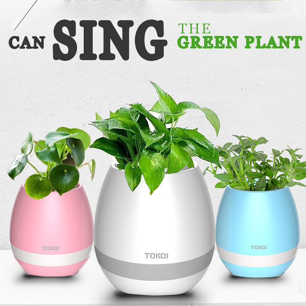 TCT 1pc Smart Bluetooth Music Speaker With Light Touch Plant Can Sing Several Songs Stress Toy For Anxiety Stress Relief For Child