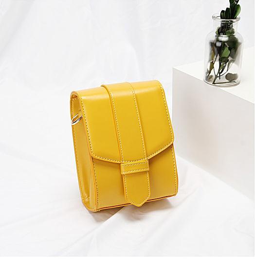 2019 Spring Summer New Mobile phone bag Vertical simple single shoulder bag oblique Span wide shoulder strap small Square bag sp