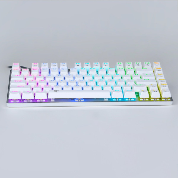 z88 Small Mechanical Keyboard Tenkeyless RGB LED Backlit Blue Switch Compact Erogonomic Design Keyboard 81 Keys US Layout