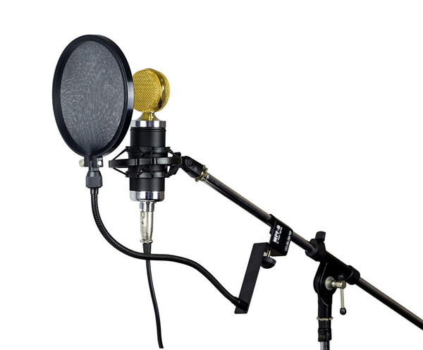 Professional MPF-6 6 Inch Clamp On Microphone Pop Filter Bilayer Recording Spray Guard with Flexible Gooseneck and Metal Stabilizing Arm