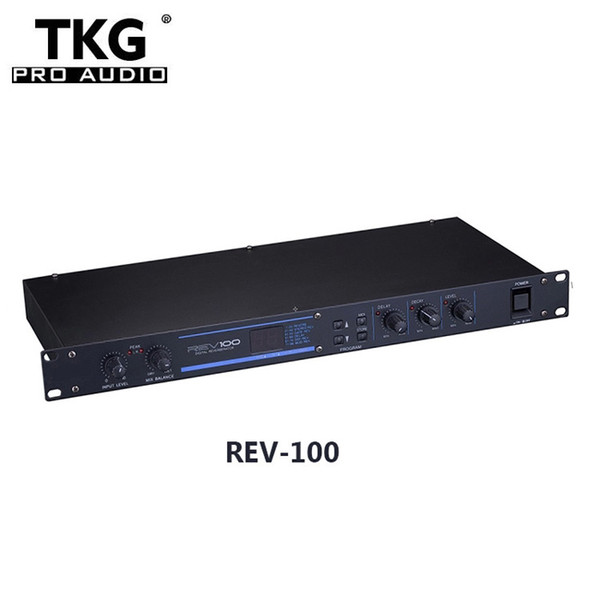 TKG dj sound Professional Audio Signal Processor Digital REV100 Effector REV100 REV-100 Sound effect karaoke effect processor