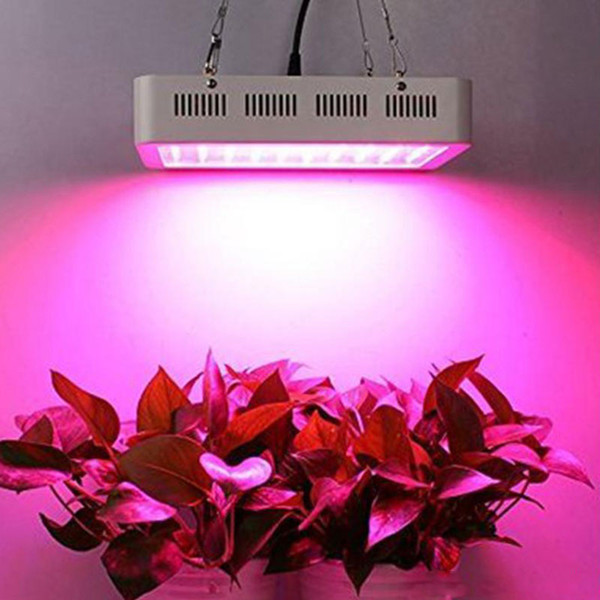 Led Grow Light Double Chips 1200W 1000W Full Spectrum Led Grow Tent Covered Green houses Lamp Plant Grow Lamp for Veg Flowering Aluminium