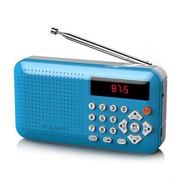 Mini Portable Dual Band Rechargeable Digital LED Display Panel Stereo FM Radio Speaker USB TF Mirco for SD Card MP3 Music Player