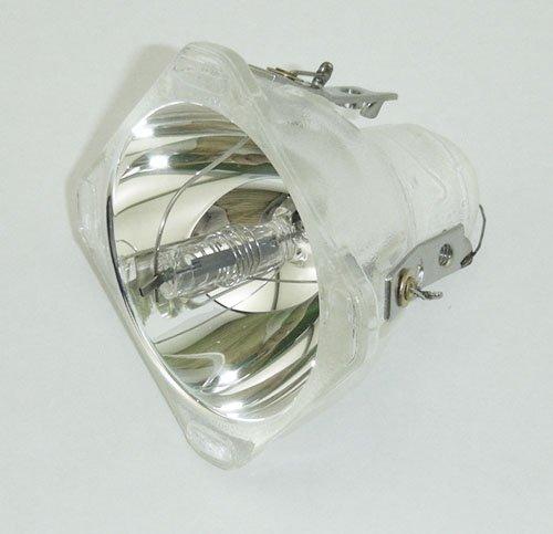 BL-FU200C / SP.86J01G.C01 / SP.88R01G.C01 Replacement Projector bulb only for OPTOMA DS302 DS303 DX602 EP706 EP706S